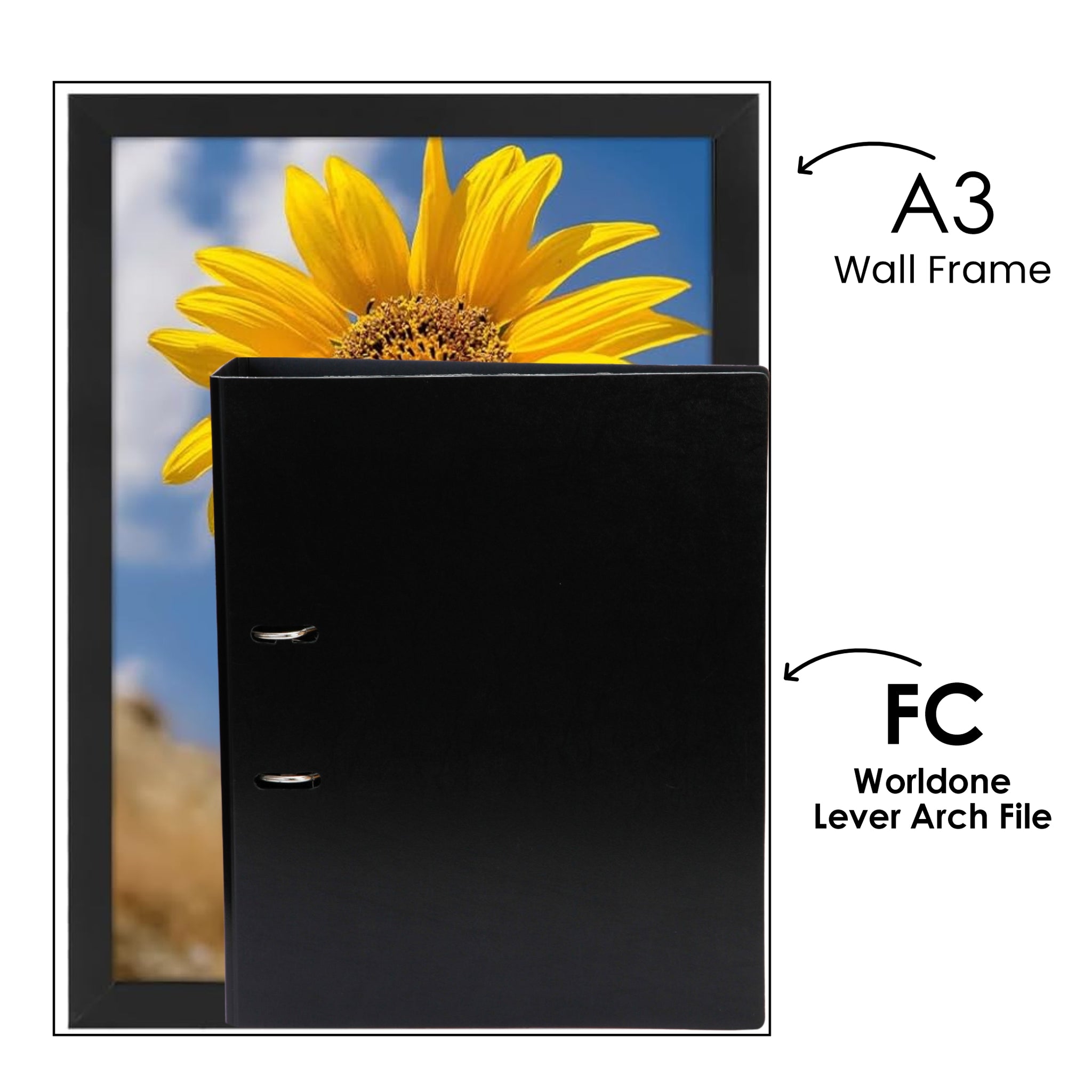 Worldone FC Lever Arch File Set of 2 | 110g Heavy Duty Arch Clip | Hol ...