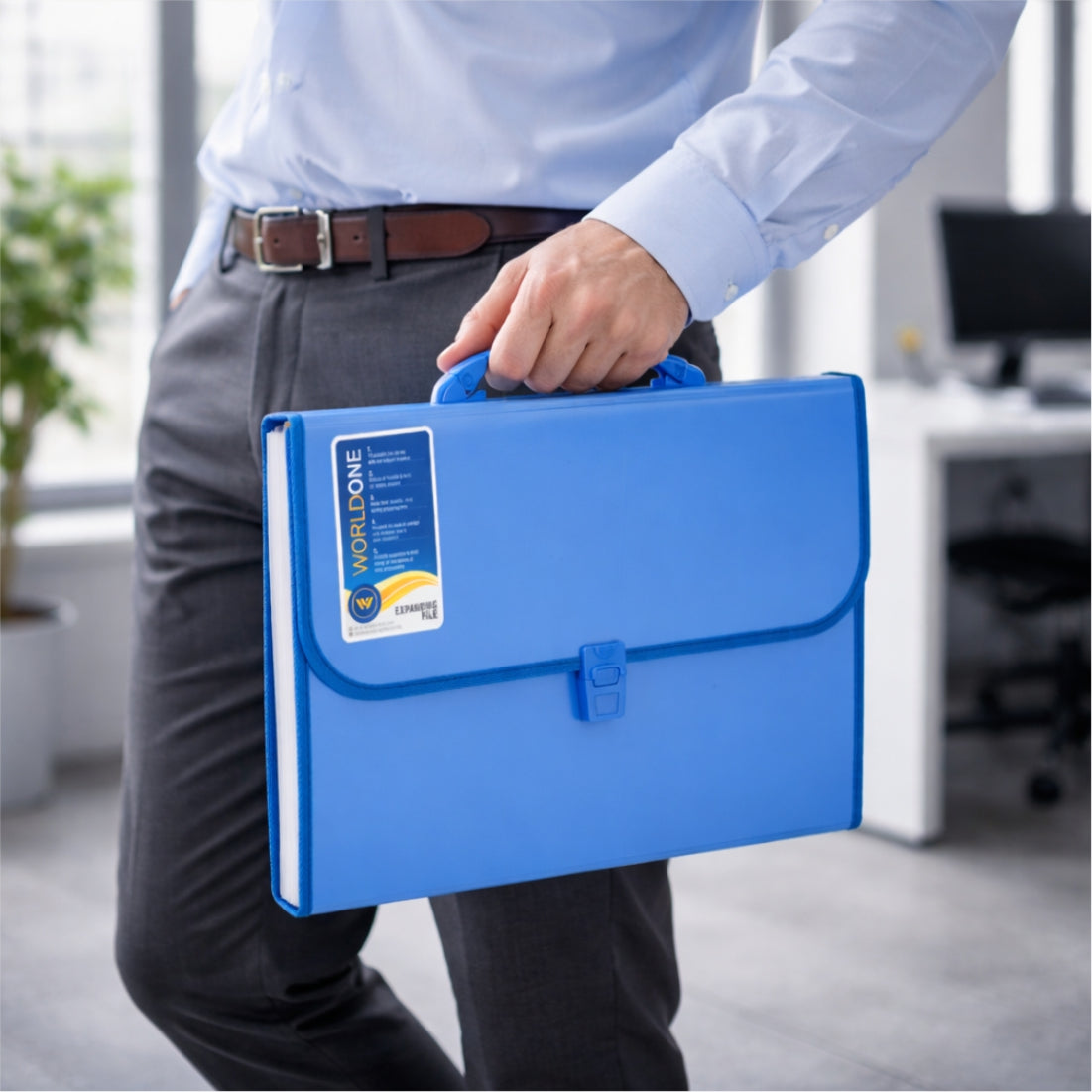 Worldone Expanding File Folder with Handle & Lock 13 Indexed Pocket fo ...