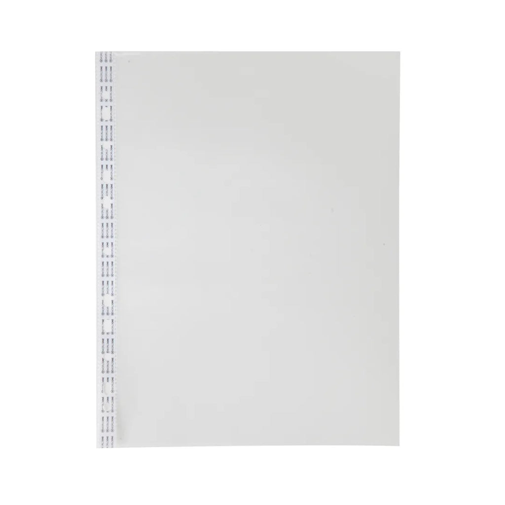 Worldone Transparent Sheet Protectors | 300 Micron Thickness (150+150 Micron) | Reinforced Binding, Scratch-Resistant, Non-Stick, Photocopy Safe | Pack of 50
