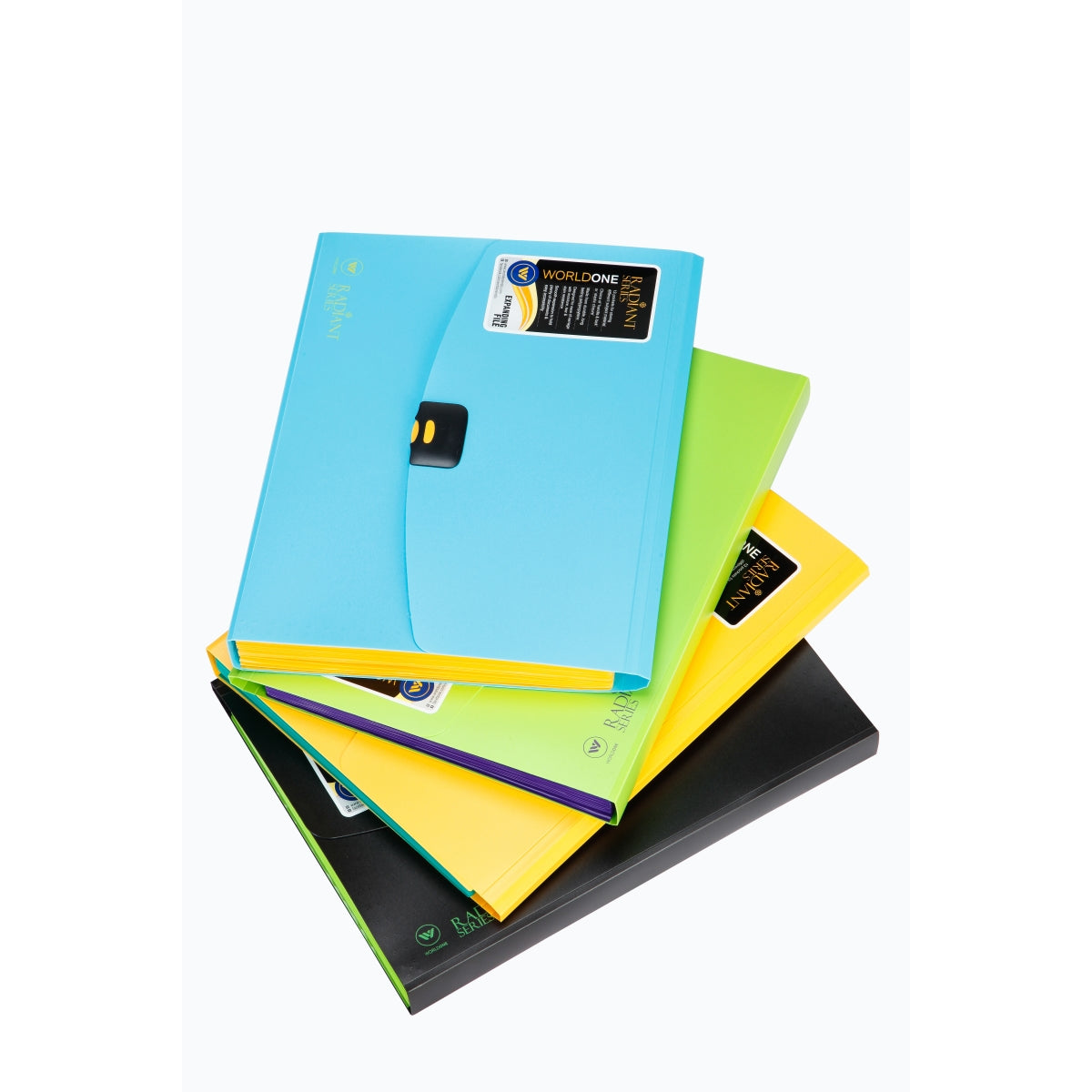 Display Book with 40 Pockets and Classification Label – Worldone India  Shoppe